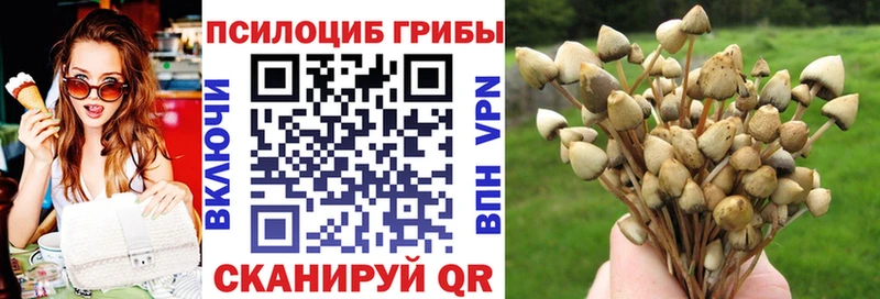 гидра как зайти  Алатырь  Псилоцибиновые грибы прущие грибы  наркота 